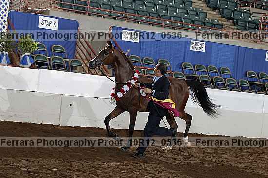 Proof Number 10r12_0536