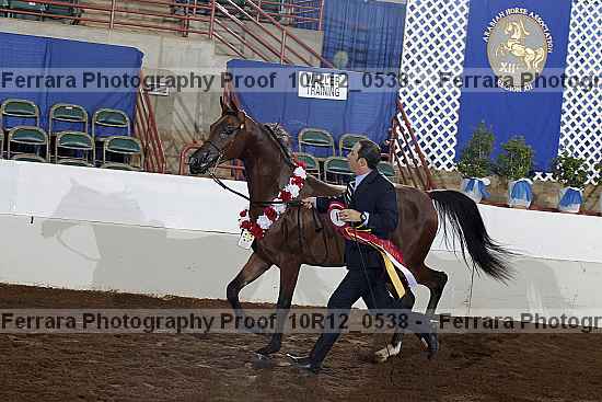 Proof Number 10r12_0538