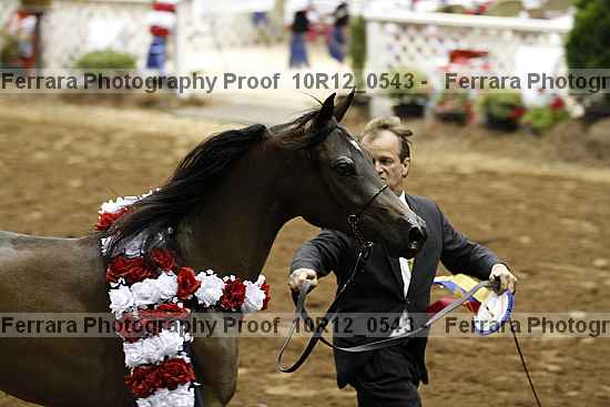 Proof Number 10r12_0543