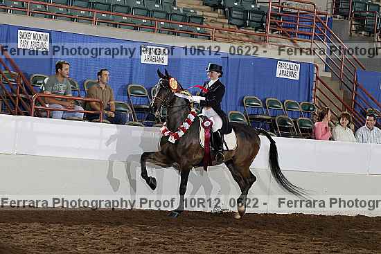 Proof Number 10r12_0622