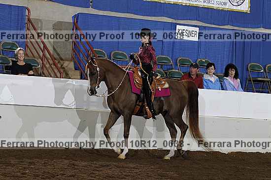 Proof Number 10r12_0638