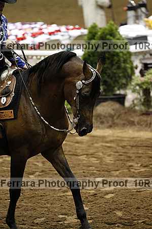 Proof Number 10r12_0684