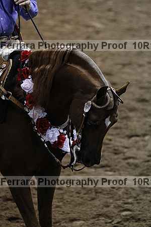 Proof Number 10r12_0695