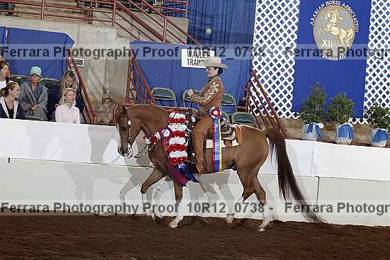 Proof Number 10r12_0738