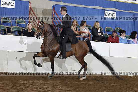 Proof Number 10r12_0767