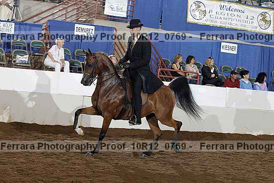 Proof Number 10r12_0769