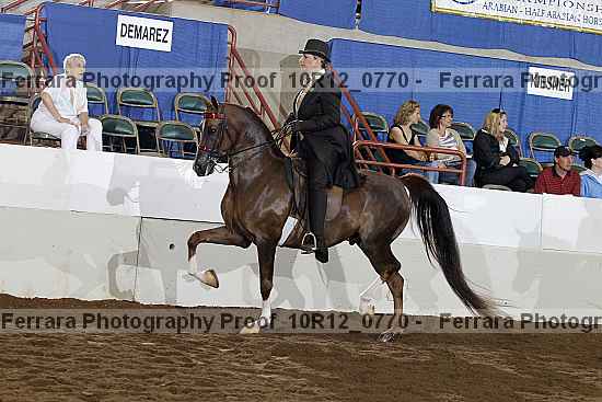 Proof Number 10r12_0770