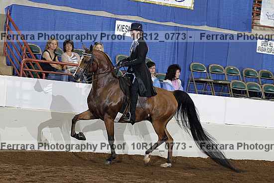 Proof Number 10r12_0773
