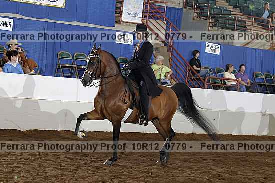 Proof Number 10r12_0779