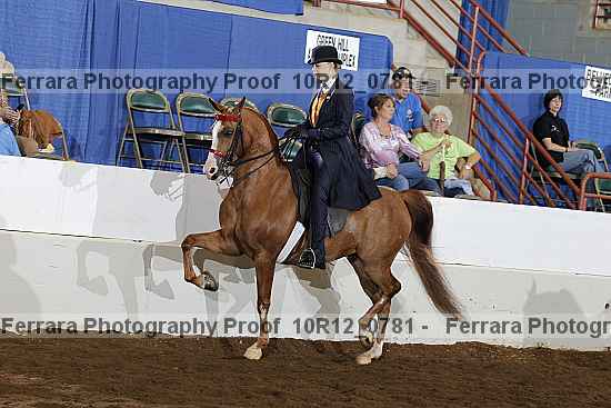 Proof Number 10r12_0781