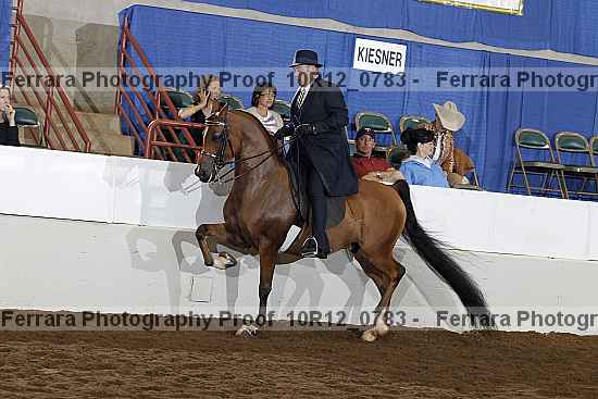Proof Number 10r12_0783