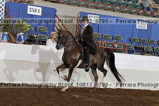 Proof Number 10r12_0793