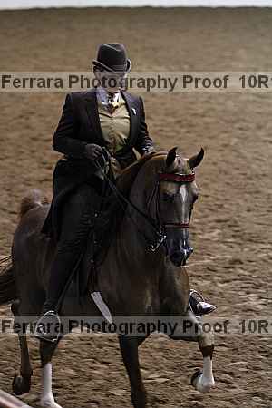 Proof Number 10r12_0796