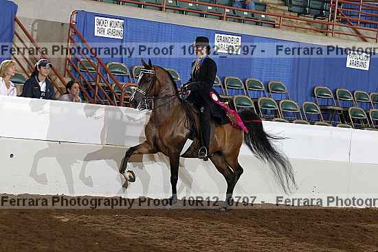 Proof Number 10r12_0797