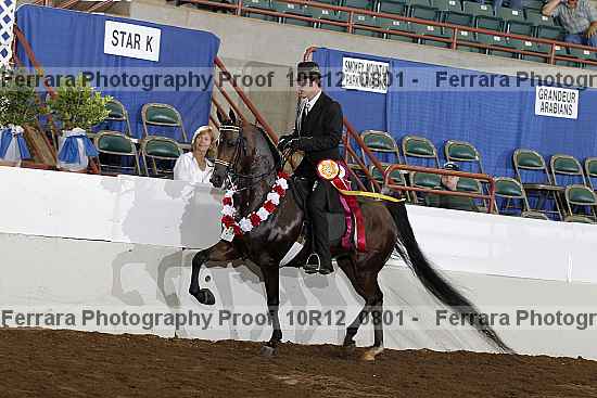 Proof Number 10r12_0801