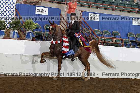 Proof Number 10r12_0808