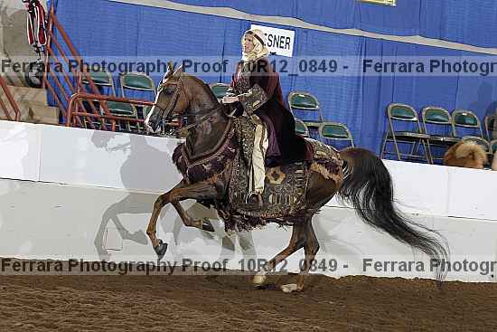Proof Number 10r12_0849