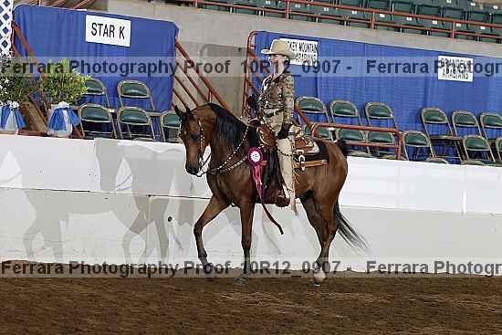 Proof Number 10r12_0907