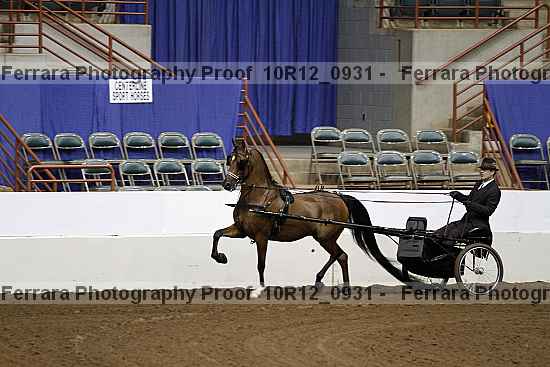 Proof Number 10r12_0931
