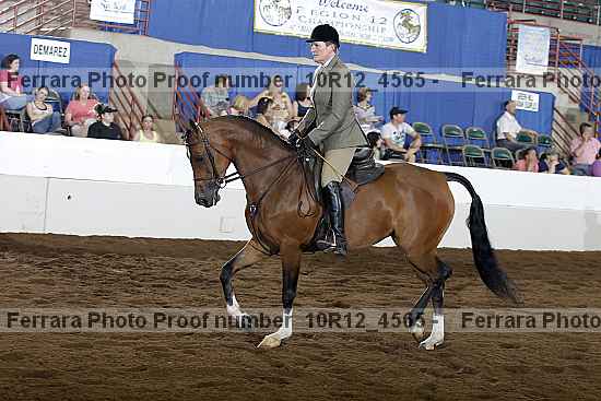 Proof Number 10r12_4565