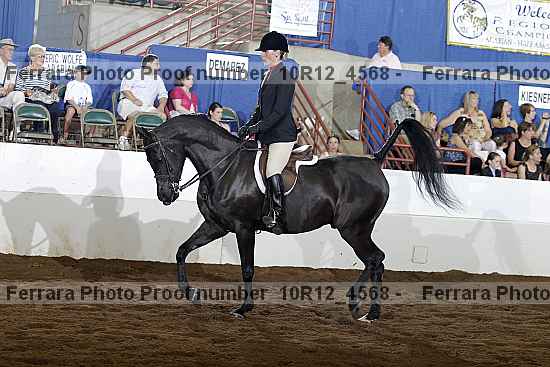 Proof Number 10r12_4568