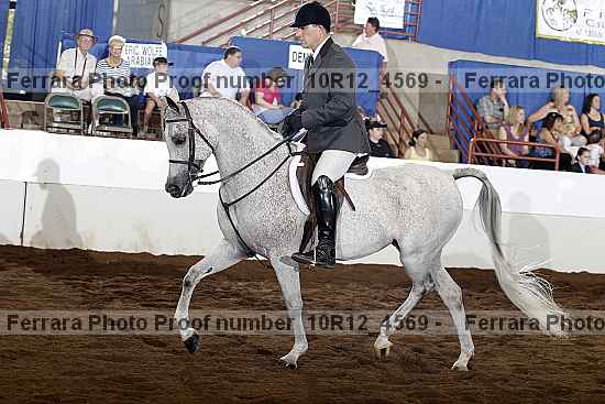 Proof Number 10r12_4569