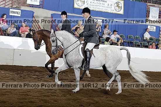 Proof Number 10r12_4577