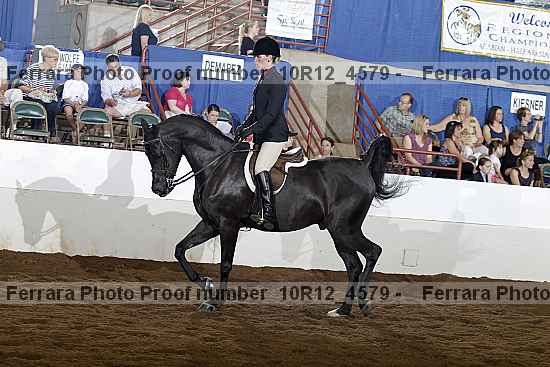 Proof Number 10r12_4579