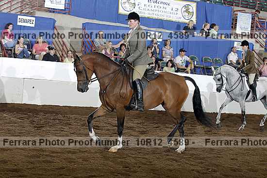 Proof Number 10r12_4589