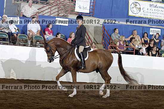 Proof Number 10r12_4592