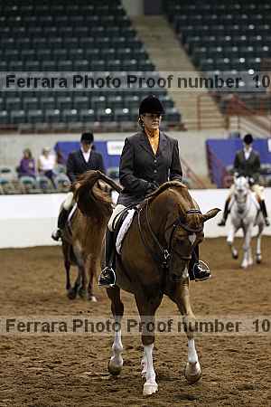 Proof Number 10r12_4602