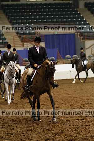 Proof Number 10r12_4604