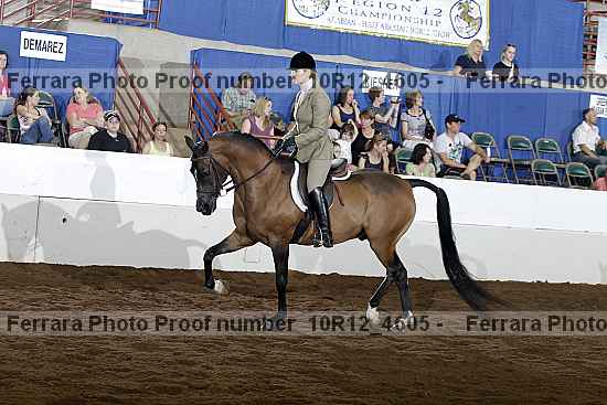 Proof Number 10r12_4605