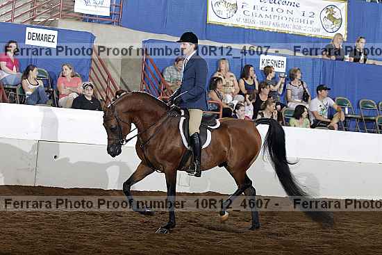 Proof Number 10r12_4607