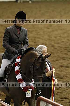 Proof Number 10r12_4611