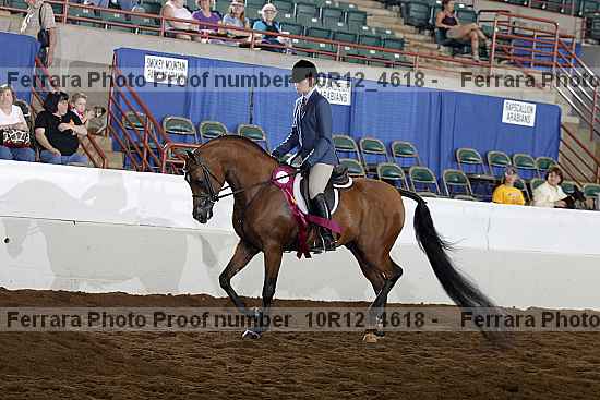 Proof Number 10r12_4618