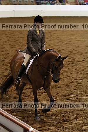 Proof Number 10r12_4625