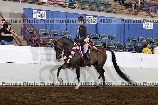 Proof Number 10r12_4628