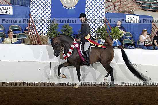 Proof Number 10r12_4631