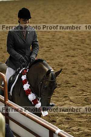 Proof Number 10r12_4632