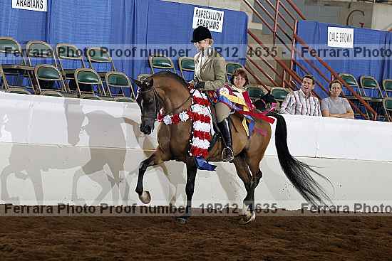 Proof Number 10r12_4635