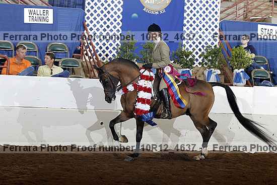 Proof Number 10r12_4637