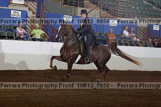 Proof Number 10r12_0950
