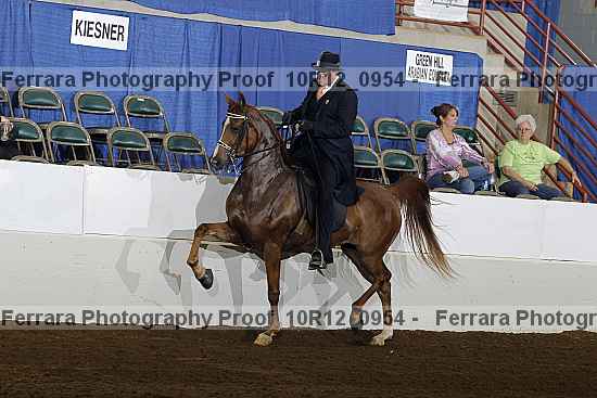 Proof Number 10r12_0954