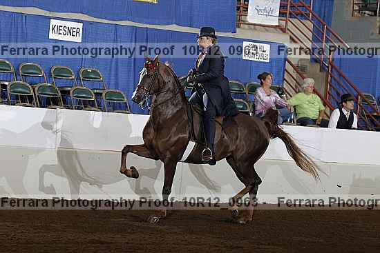 Proof Number 10r12_0963