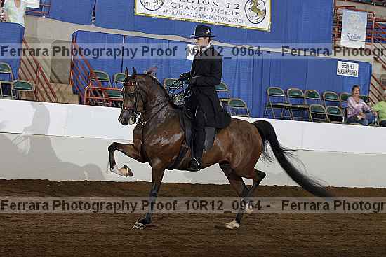 Proof Number 10r12_0964
