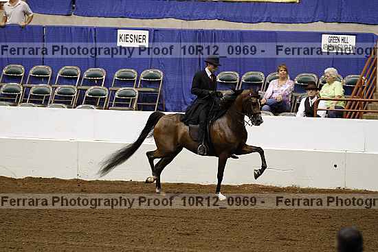 Proof Number 10r12_0969