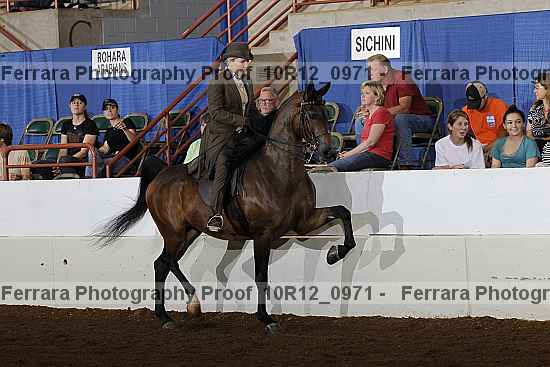 Proof Number 10r12_0971