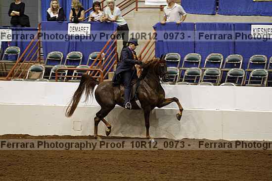 Proof Number 10r12_0973