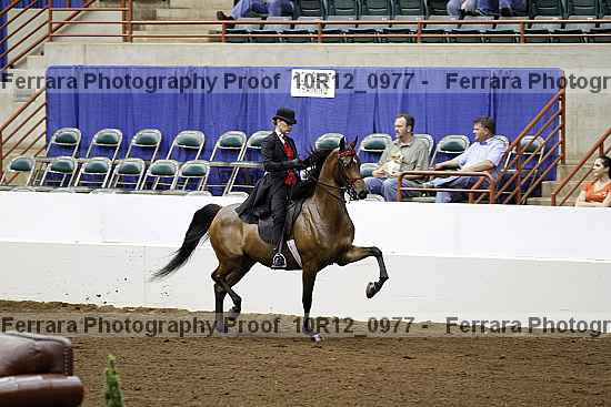 Proof Number 10r12_0977